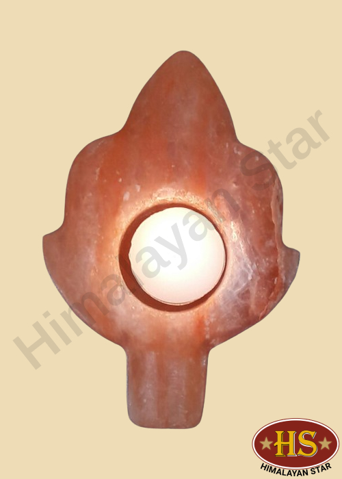Himalayan Star
