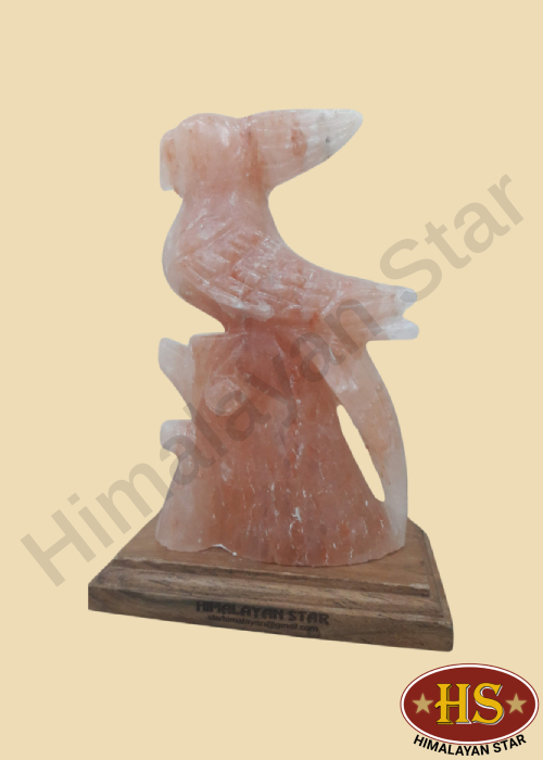 Himalayan Star
