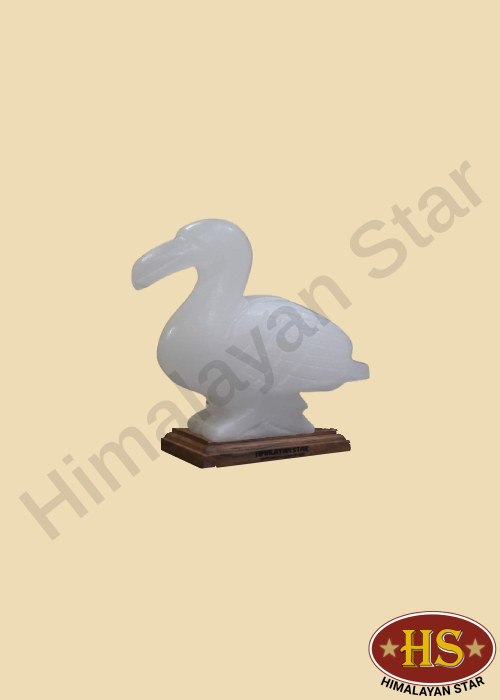 Himalayan Star