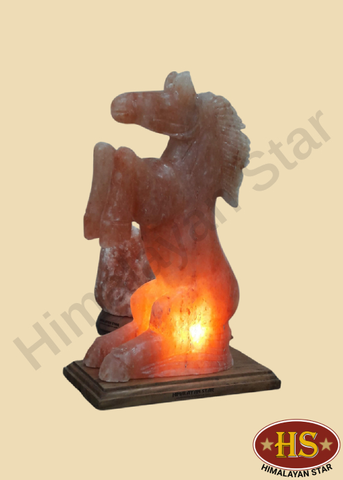 Himalayan Star