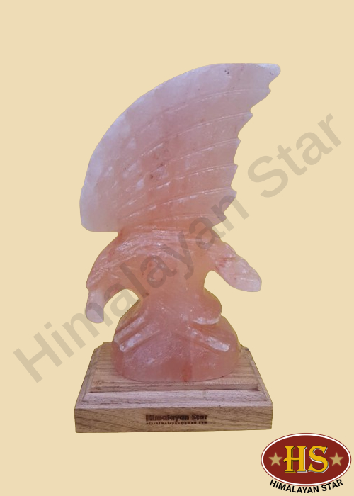 Himalayan Star