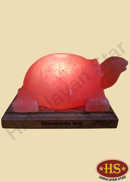Himalayan Star